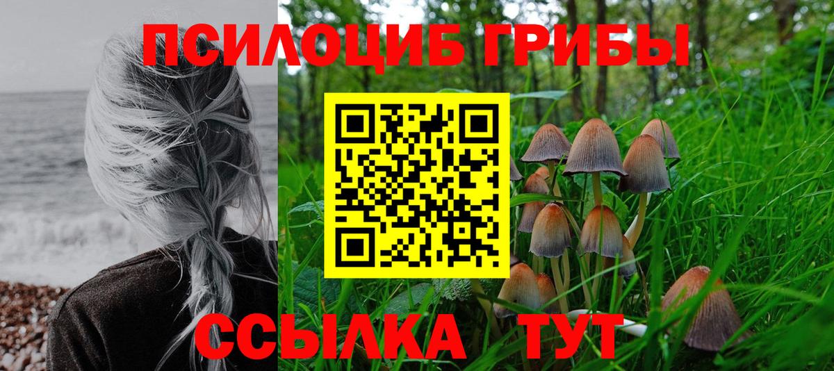 Галлюциногенные грибы мухоморы  Вход с VPN  Острогожск 