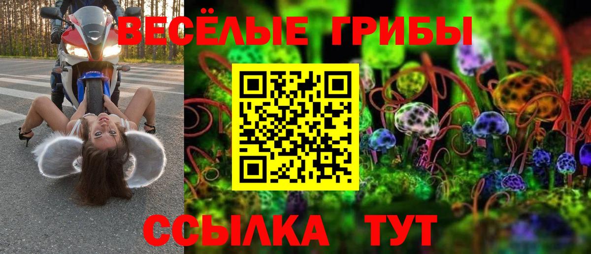 Псилоцибиновые грибы Psilocybe Острогожск